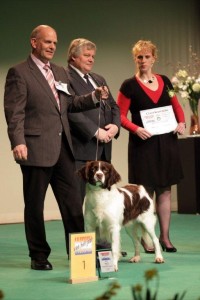 Hond van het Jaar show 2012